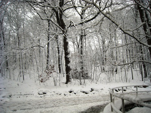 2007 Winter Snow.JPG
