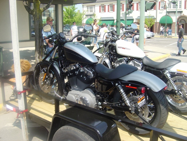 Harley Motorcycle2.JPG