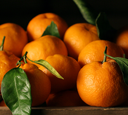 Mandarin Oranges.jpg